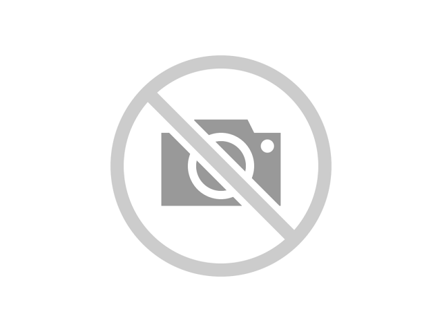 Windows Server 2025 ESSENTIALS 10Core ROK